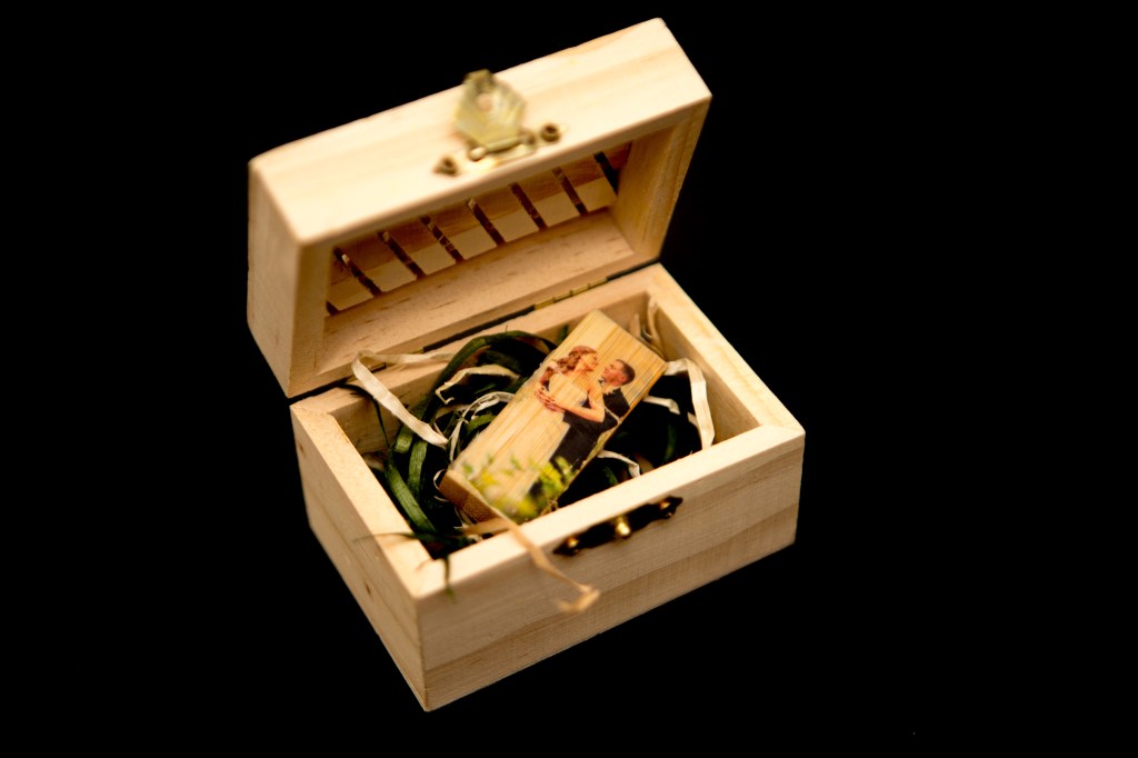 Schroeder Flash Drive 1