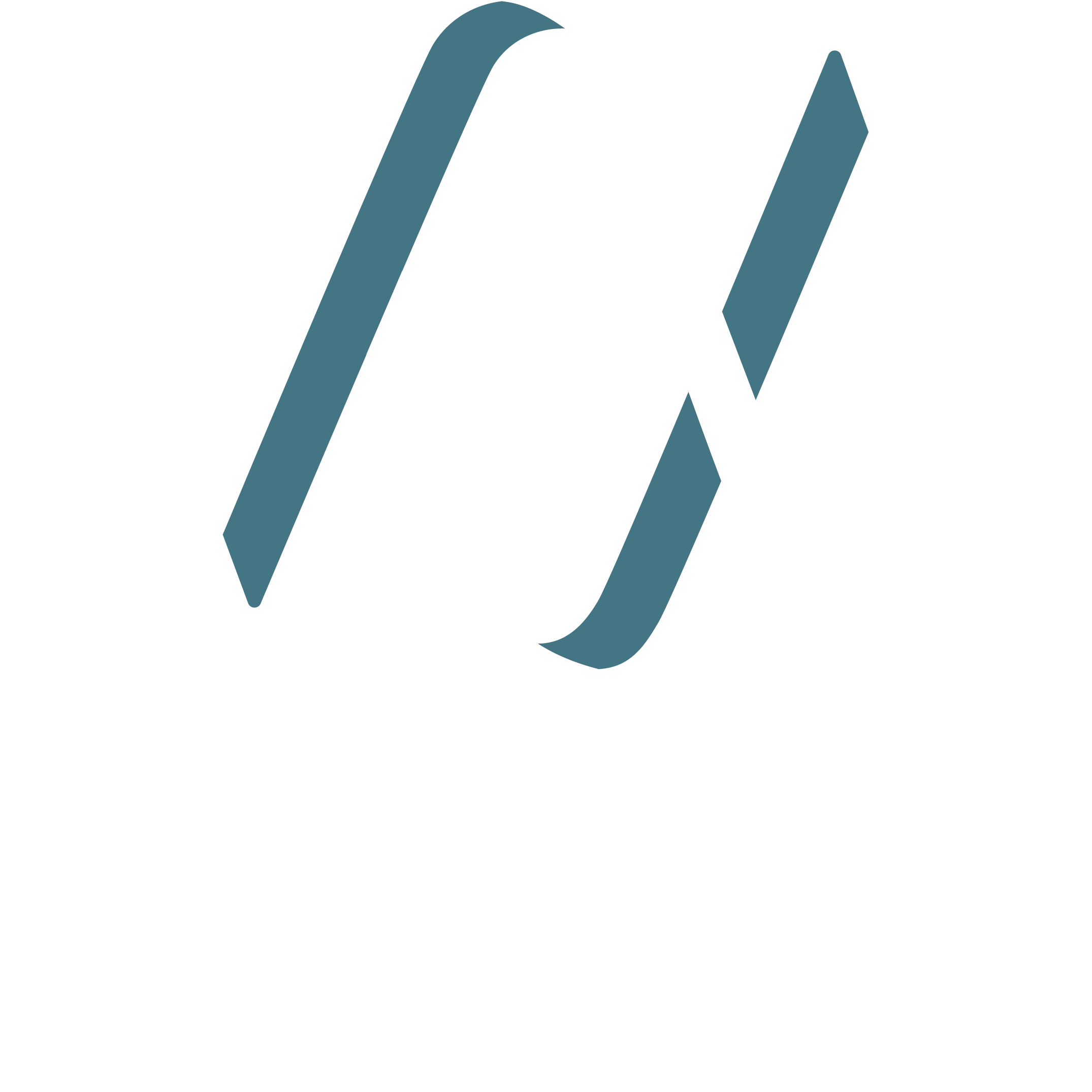 Digital Media Solutions